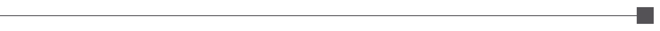 website_divider2